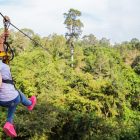 Angkor Zipline